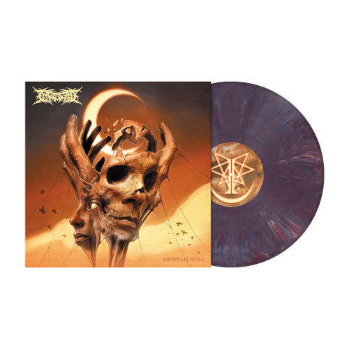 Ingested - Ashes Lie Still (Violet Purple Marbled Vinyl LP) - LP (uusi)