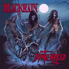 Blackrain - Dying Breed - CD (uusi)