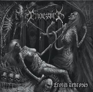 Endezzma - Erotik Nekrosis - LP (uusi)