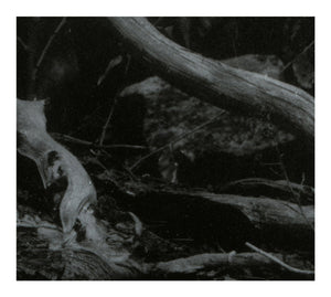 Barren Canyon - World Of Wounds - CD (uusi)