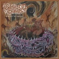 Bastard Grave - Vortex Of Disgust - LP (uusi)