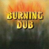 Revolutionaries - Burning Dub - LP (uusi)