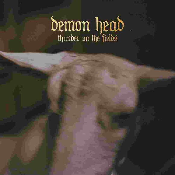 Demon Head - Thunder On The Fields LP Silver - LP uusi