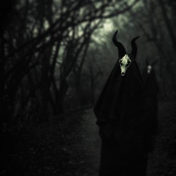 White Ward - Futility Report - CD (uusi)
