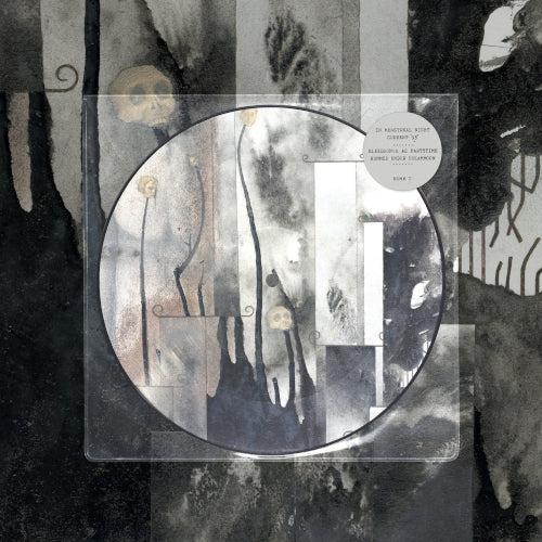 Current 93 - In Menstrual Night (Picture Disc Vinyl LP) - LP uusi