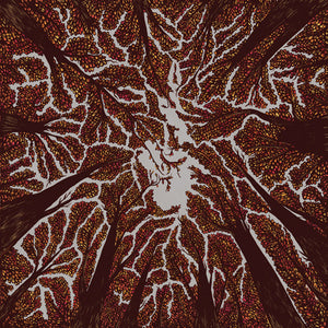Trash Boat - Crown Shyness - uusi CD