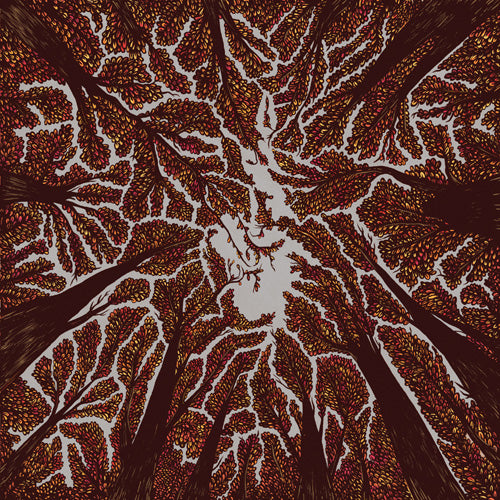 Trash Boat - Crown Shyness - uusi CD