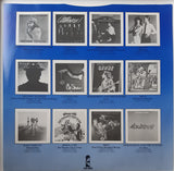 Cat Stevens - Izitso LP levy (käytetty)