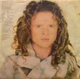 Simply Red - Stars LP levy (käytetty)