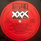 The Vandals - Fear Of A Punk Planet LP levy (käytetty)