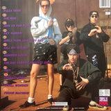 The Vandals - Fear Of A Punk Planet LP levy (käytetty)