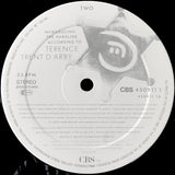 Terence Trent D'Arby - Introducing The Hardline According To Terence Trent D'Arby LP levy (käytetty)