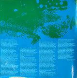 The Jimi Hendrix Experience - Starportrait Jimi Hendrix LP levy (käytetty)