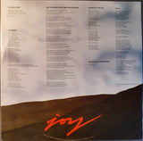 Skids - Joy LP levy (käytetty)