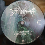 Borknagar - Fall LP levy (uusi)