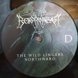 Borknagar - Fall LP levy (uusi)