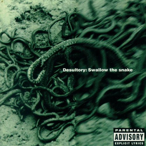 Desultory - Swallow the Snake (Splatter Vinyl LP) - LP uusi