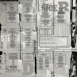 D'Angelo - Voodoo LP levy