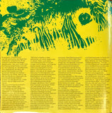 The Jimi Hendrix Experience - Starportrait Jimi Hendrix LP levy (käytetty)