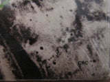 Billy Idol - Whiplash Smile LP levy (käytetty)