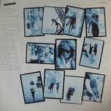 Tina Turner - Foreign Affair LP levy (käytetty)