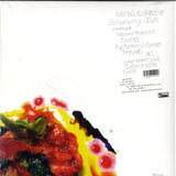Animal Collective - Strawberry Jam LP levy (käytetty)