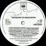Paul Young - The Secret Of Association LP levy (käytetty)