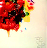 Animal Collective - Strawberry Jam LP levy (käytetty)