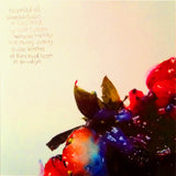 Animal Collective - Strawberry Jam LP levy (käytetty)