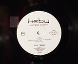 Kebu - Perplexagon LP levy (käytetty)
