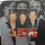 Bee Gees - Spirits Having Flown LP levy (käytetty)