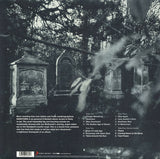 Steve Hackett - Darktown LP levy (uusi)