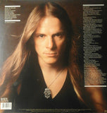 Steve Morse Band - Stand Up LP levy (käytetty)
