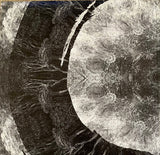 Architects (2) - Holy Hell LP levy (uusi)