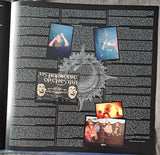 Afflicted - Prodigal Sun LP levy (uusi)