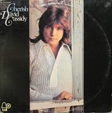 David Cassidy - Cherish LP levy (käytetty)