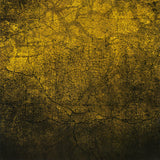 Whitesnake - Forevermore CD levy (käytetty)