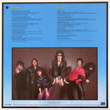 The J. Geils Band - Best Of The J. Geils Band Two LP levy (käytetty)