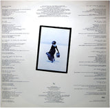 Tina Turner - Foreign Affair LP levy (käytetty)