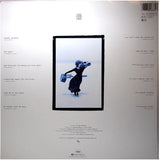 Tina Turner - Foreign Affair LP levy (käytetty)