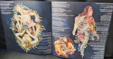 Sanguisugabogg - Homicidal Ecstasy LP levy (uusi)