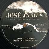 José James - While You Were Sleeping LP levy (uusi)