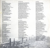 The Rainmakers (2) - Tornado LP levy (käytetty)