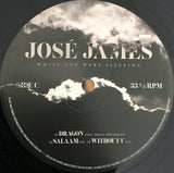José James - While You Were Sleeping LP levy (uusi)