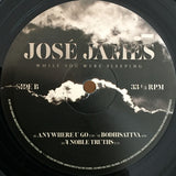 José James - While You Were Sleeping LP levy (uusi)