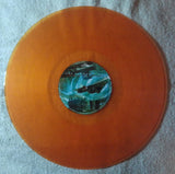 The Flower Kings - Unfold The Future LP levy (uusi)