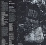 Steve Hackett - Darktown LP levy (uusi)