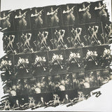 Dio - The Last In Line LP levy
