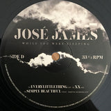 José James - While You Were Sleeping LP levy (uusi)