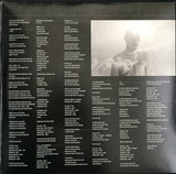 José James - While You Were Sleeping LP levy (uusi)